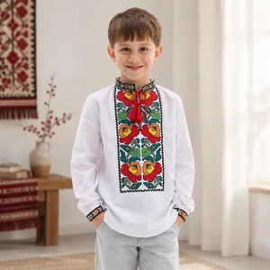 Вишиванка для хлопчика "Дарій" (з червоним)